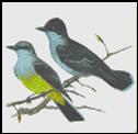 Kingbird is one of the Audubon Hills streets named after birds.